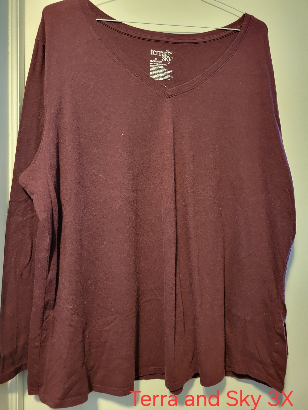 Terra & Sky Long Sleeve V-Neck Top - Burgundy
